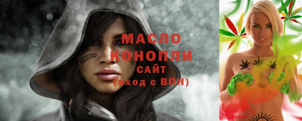 индика Дмитров