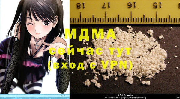 индика Дмитров