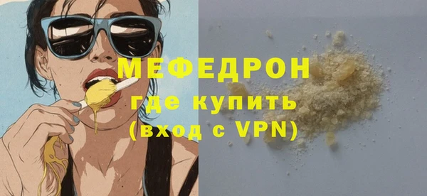 индика Дмитров