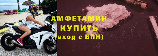 индика Дмитров
