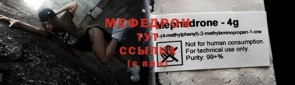 индика Дмитров