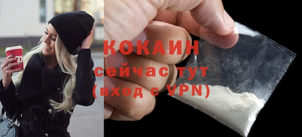 индика Дмитров
