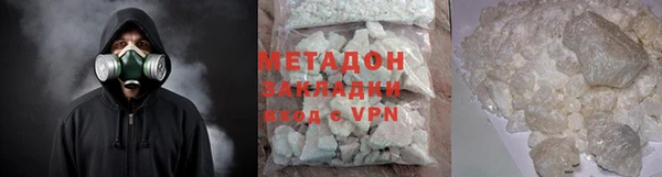 индика Дмитров