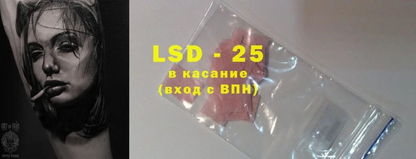 индика Дмитров