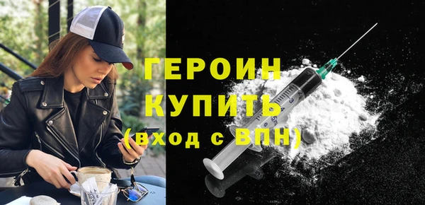 индика Дмитров