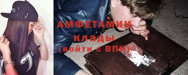 индика Дмитров