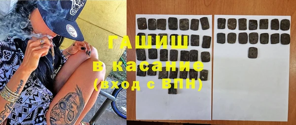 индика Дмитров