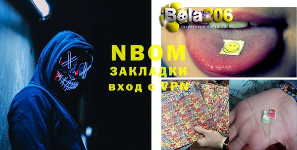 индика Дмитров