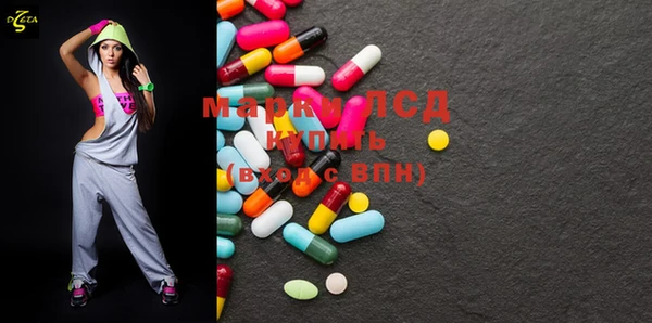 индика Дмитров