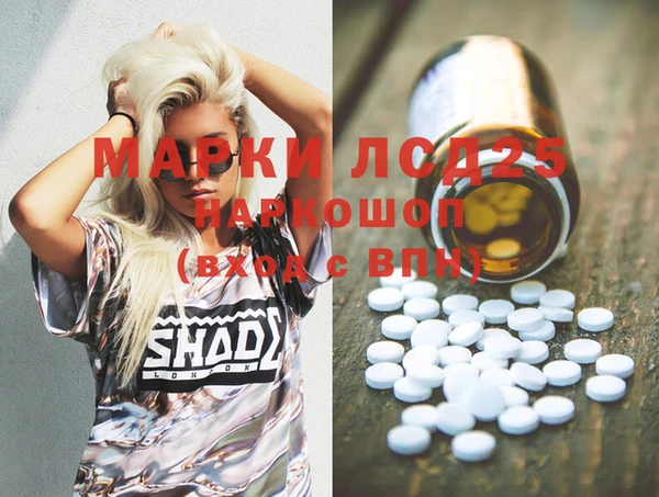 индика Дмитров