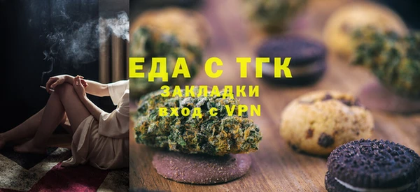 индика Дмитров
